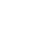 play icon