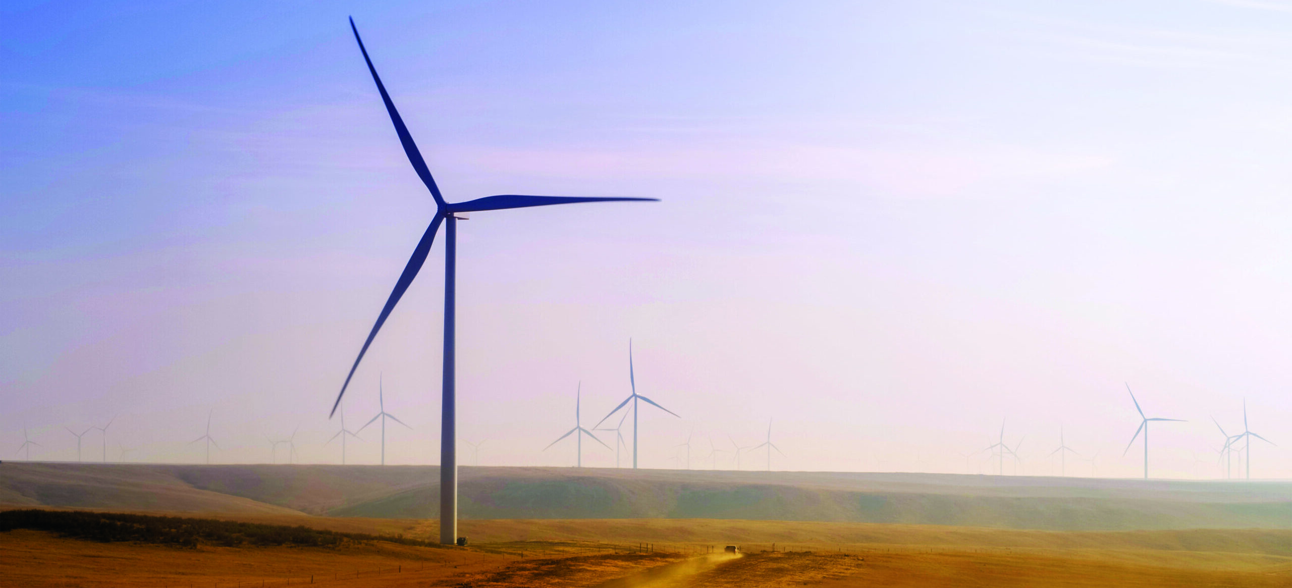 Windmills in a field.