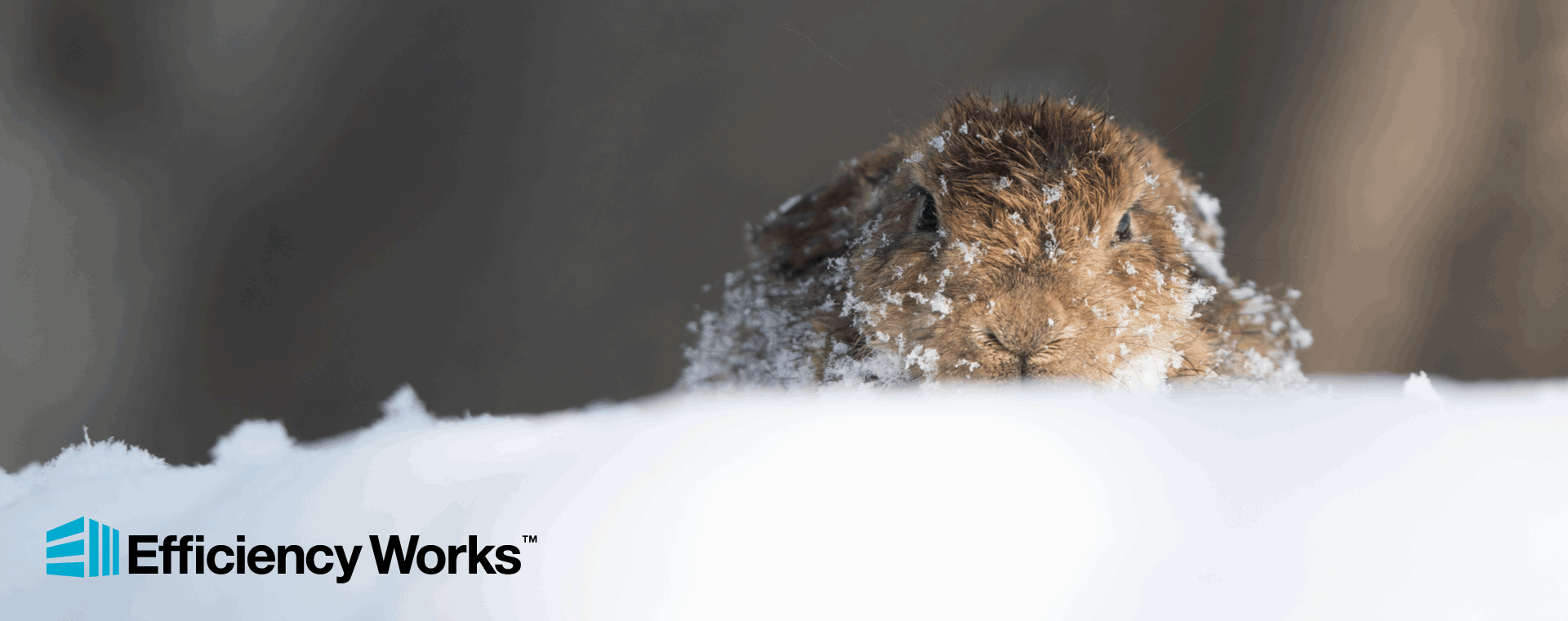 Groundhog Day: Energy efficiency tips for the next 6 weeks!