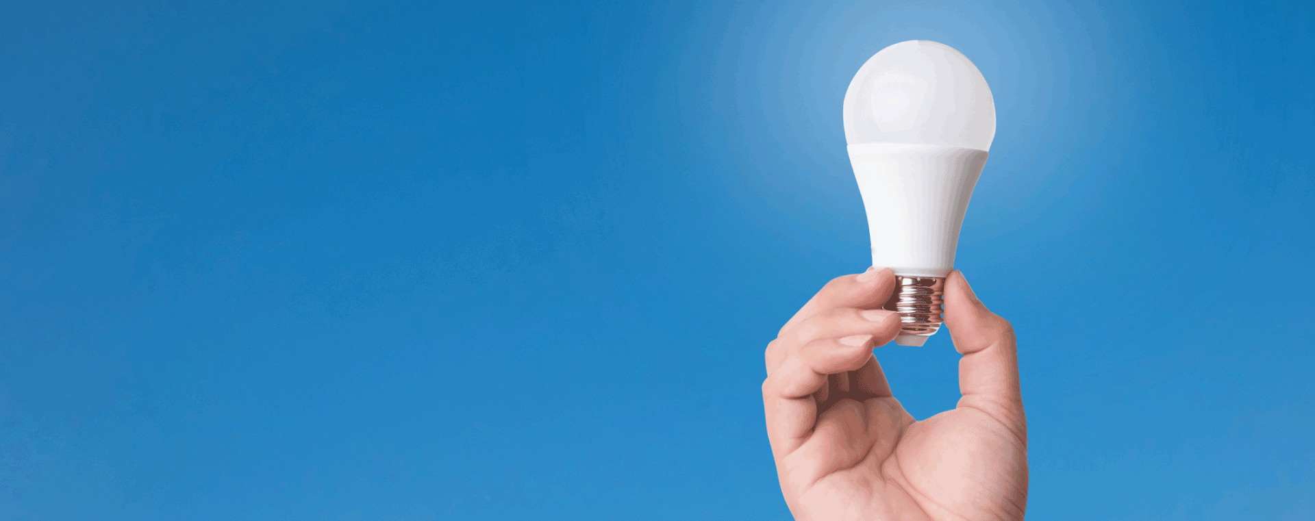 Are you using the right light bulbs for the season?