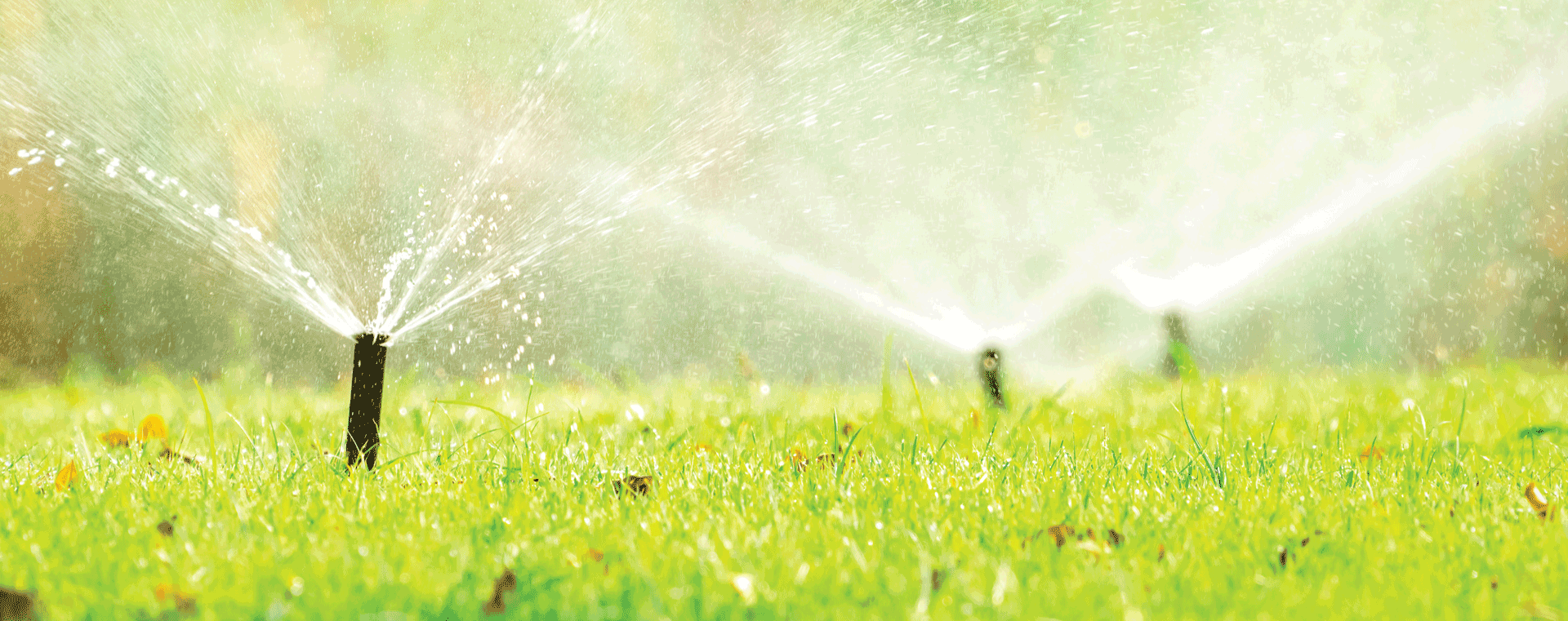 Spring has sprung: has your sprinkler system?